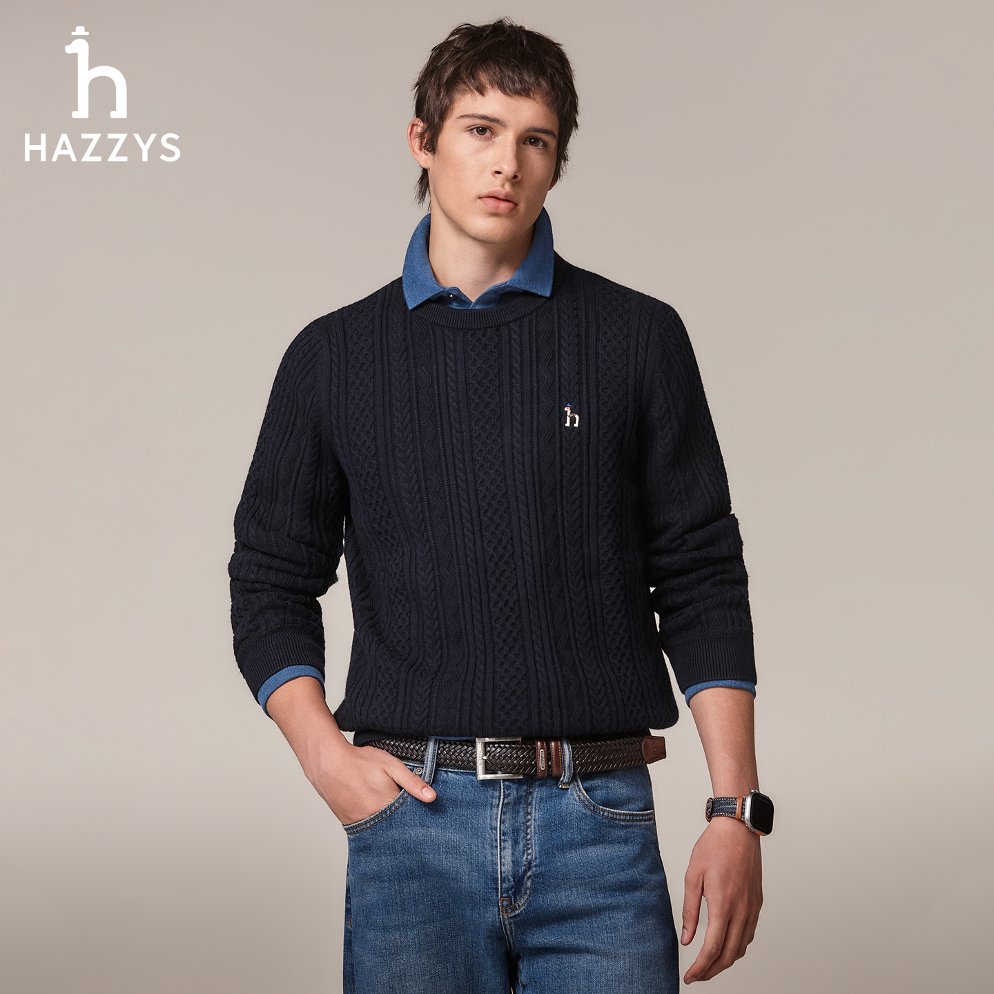【李佳琦直播间双12羽绒节】Hazzys哈吉斯男羊毛衫休闲长袖针织