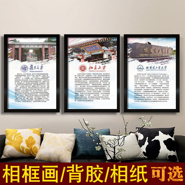 中国名校985211工程大学简介海报墙贴壁纸世界双一流名校介绍挂图