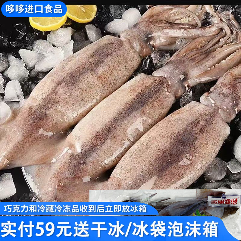 临期特价 亚洲渔港 原条鱿鱼500g海鲜生鲜水产整条冷冻品白灼烧烤图片