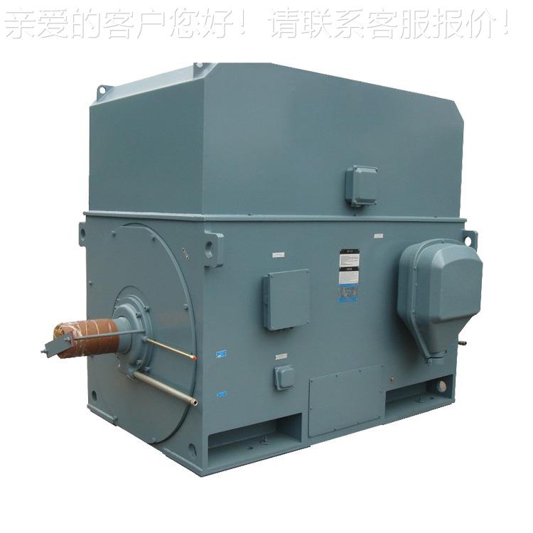 厂Y500-10、Y5004-10 450W 6V破碎机用高压电机