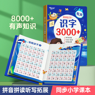 儿童识字大王3000字点读机认字卡片早教发声书幼儿园小孩有声看图