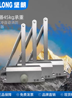 坚朗闭门器45KG液压定位缓冲自动消防火门关门家用65KG闭合wb021