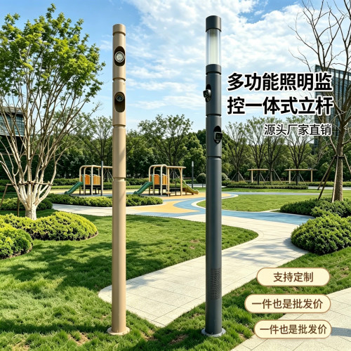 厂家直销3米3.5米多功能智慧路灯监控分段式鸟巢监控立杆公园广场