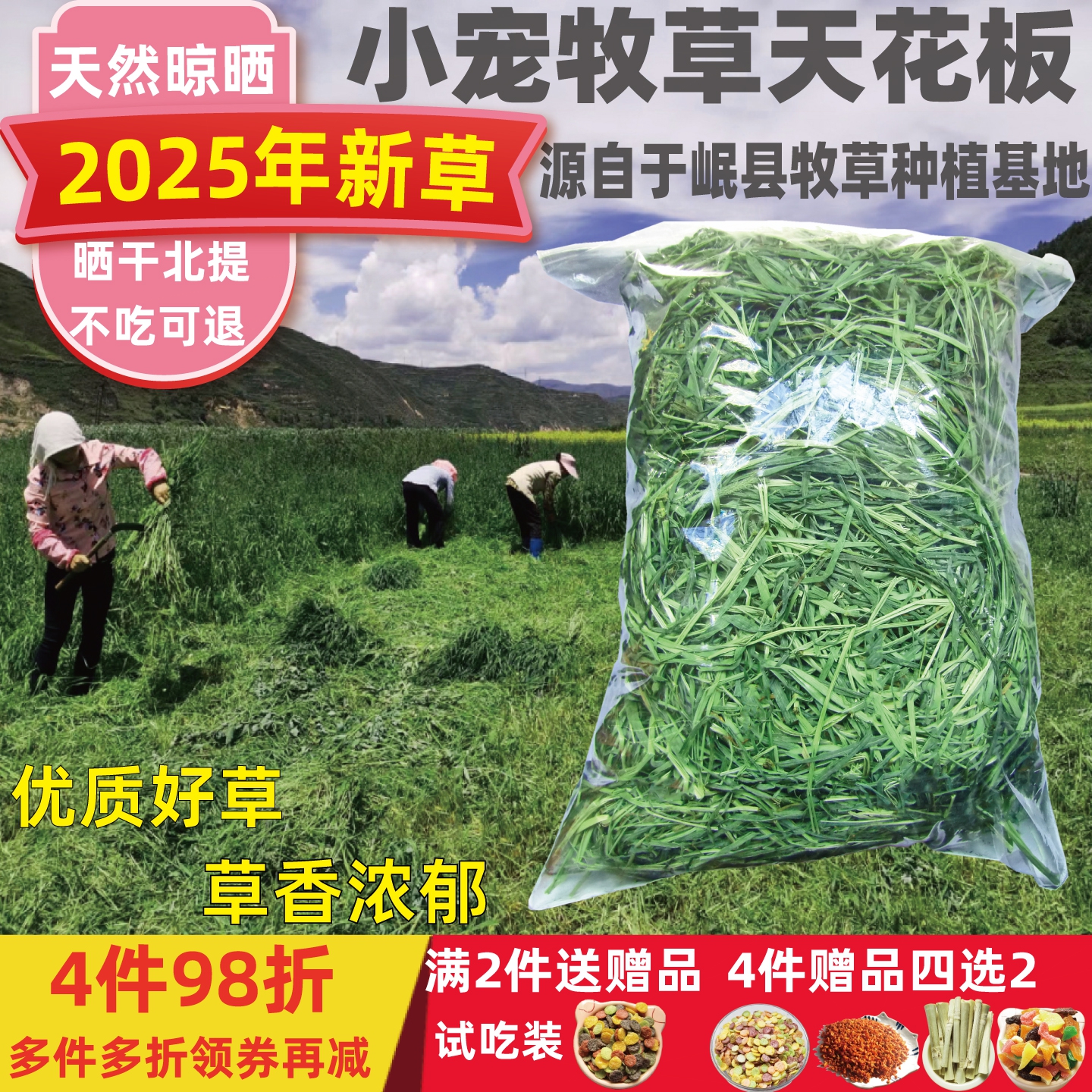 晒干提摩西草整齐香翠绿小宠爱吃