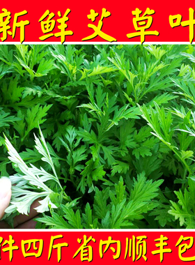 艾草新鲜食用青团手工艾糍粑清明果嫩艾叶艾蒿艾米果现摘4斤装