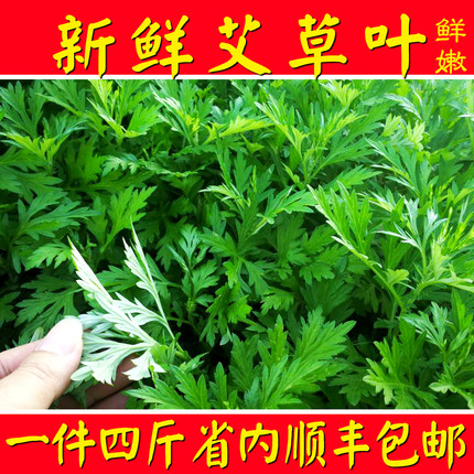 艾草新鲜食用青团手工艾糍粑清明果嫩艾叶艾蒿艾米果现摘4斤装