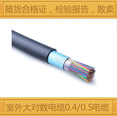 安普50对0.5电话电缆安普100对0.5语音电缆30对25对0.4/0.5大对数