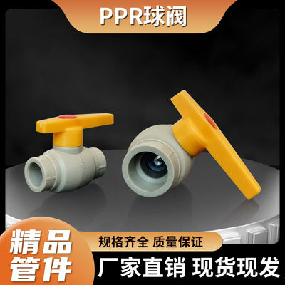 PPR灰色钢芯球阀20/25/32水管热熔开关4分6分1寸管道焊接阀门配件