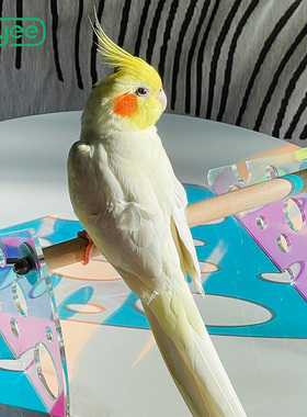 ZOOLIN炫彩亚克力站架文鸟牡丹玄凤鹦鹉鸟用站杆桌面鸟站架