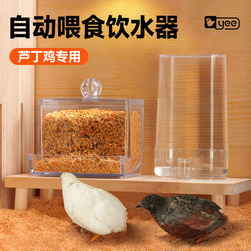 芦丁鸡专用喂食饮水器亚克力食盆