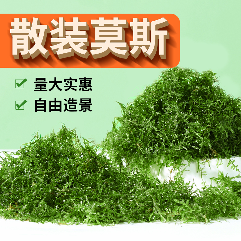 散装水草莫斯自由造景