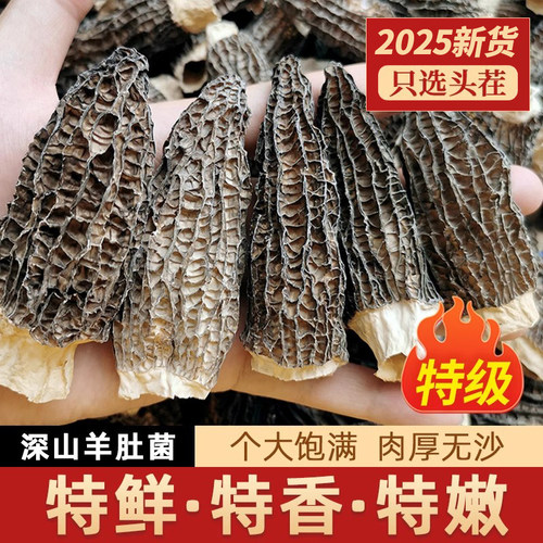 【特级】羊肚菌百斤选两斤特鲜香
