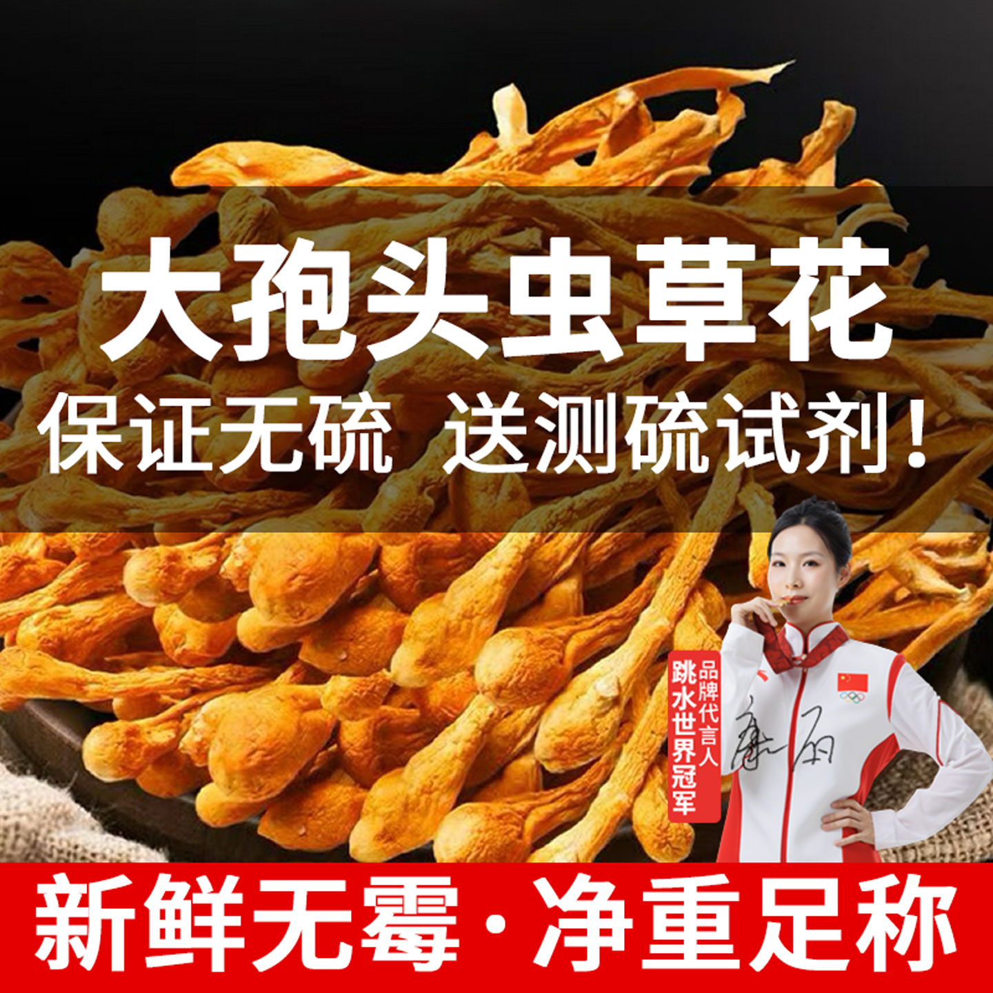 大孢头虫草花新鲜无硫