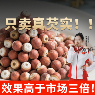 官方旗艦店新鮮無硫雞頭米茨實干貨 肇慶芡實干貨500g非特級正品