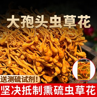 虫草花干货官方旗舰店正品 新鲜干虫草花煲汤正宗野外生蛹虫草250g