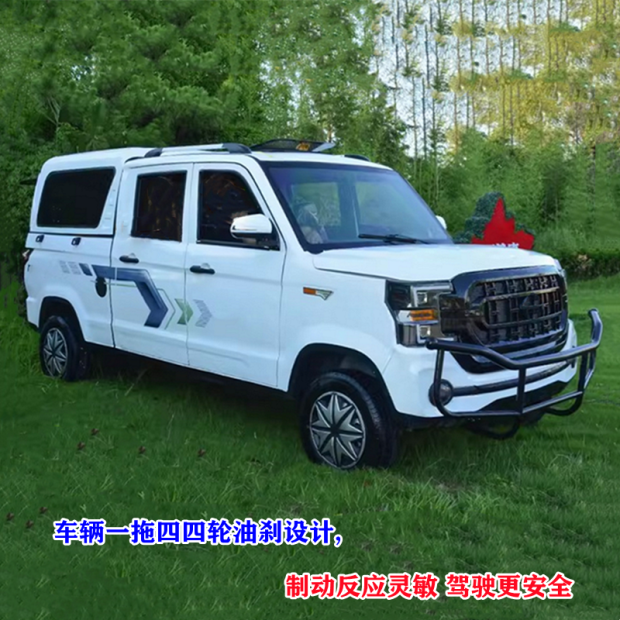 可配太阳能板微型SUV短途代步车家用代步接娃成人电动车老头乐