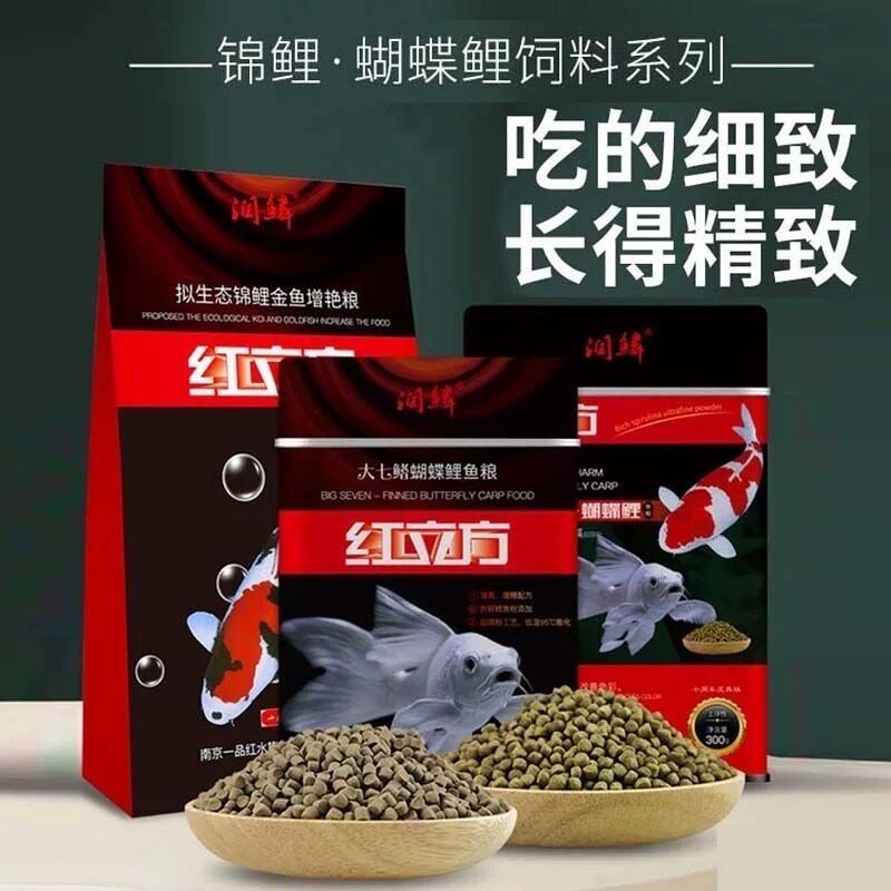 润鳞红立方大七鳍蝴蝶鲤鱼粮白金龙鲤专用下沉饲料高蛋白增体增白
