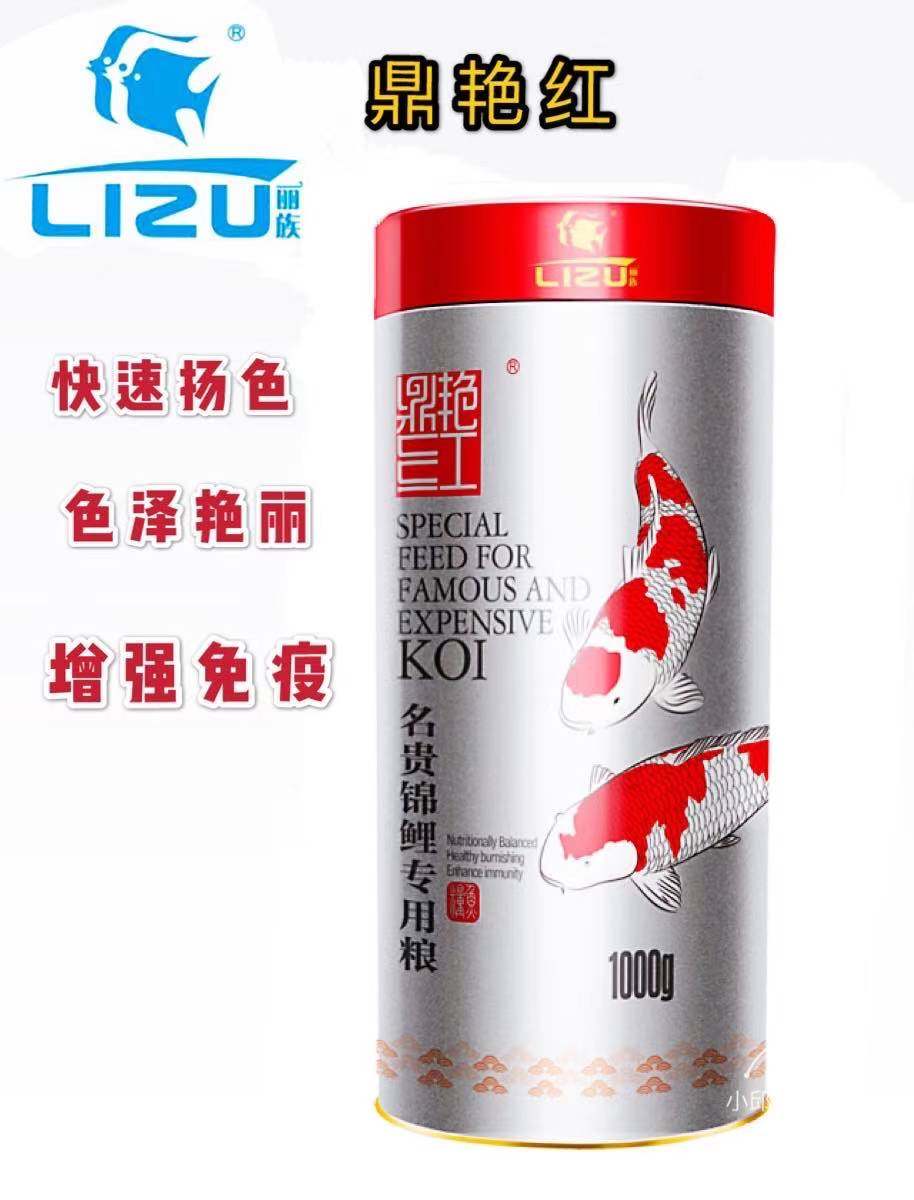 鼎艳红观赏鱼淡水中国增色