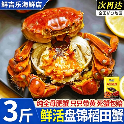 盘锦鲜活全母大闸蟹礼盒