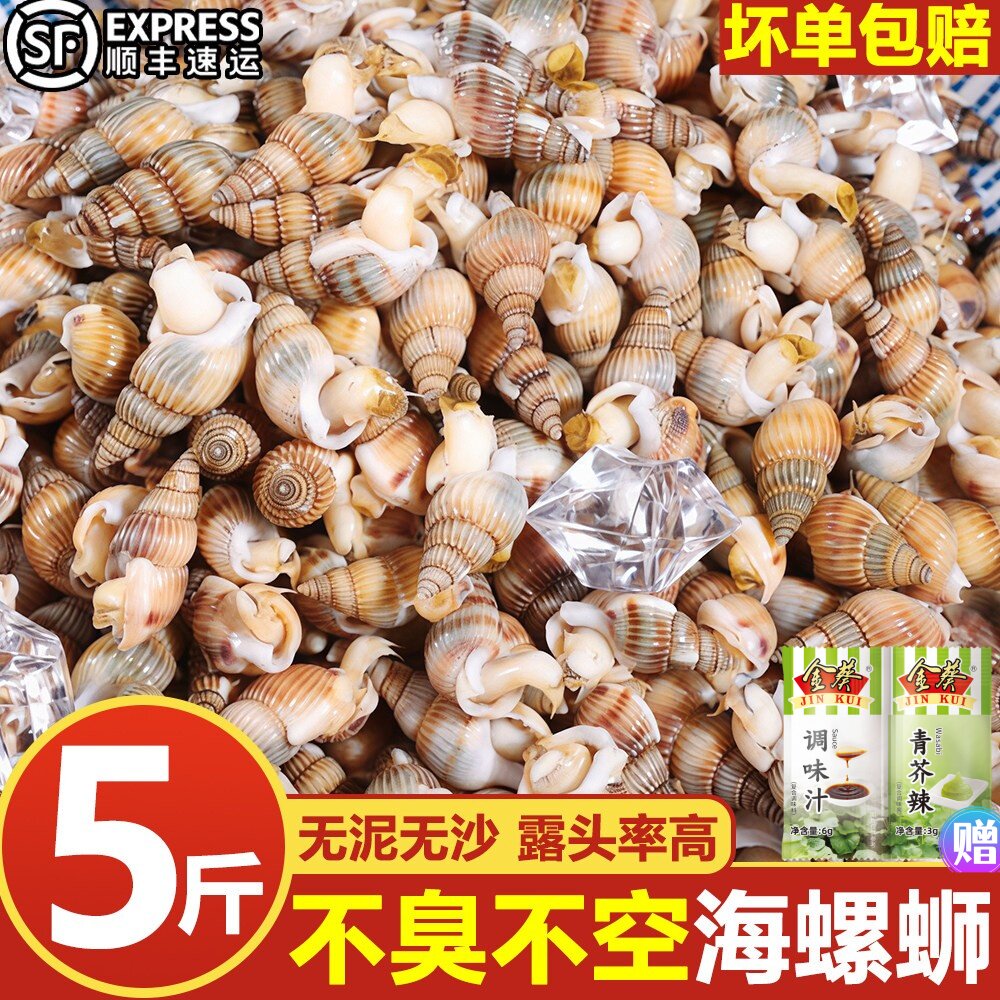 海螺丝鲜活海锥冷冻海瓜子熟冻海锥大号麻辣海螺丝新鲜螺丝顺丰