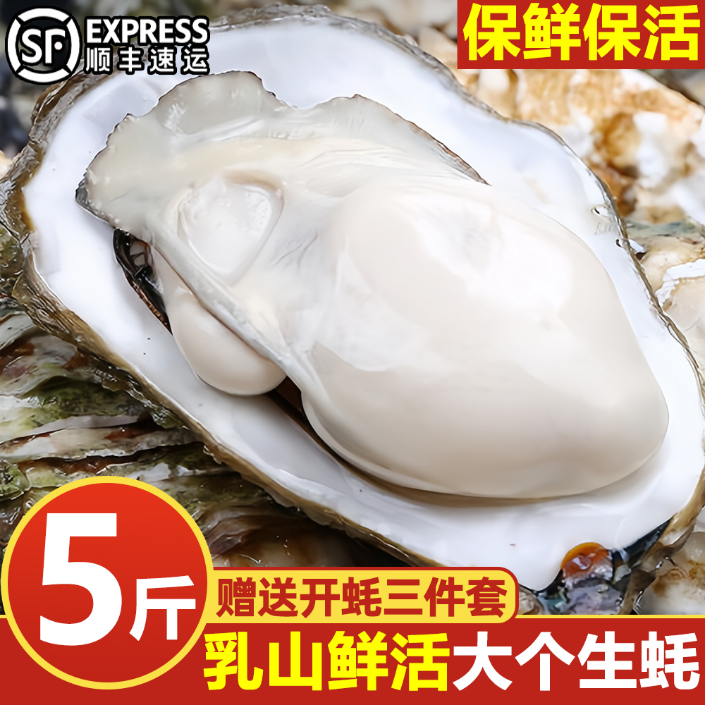 正宗山东乳山生蚝超肥超爽包活