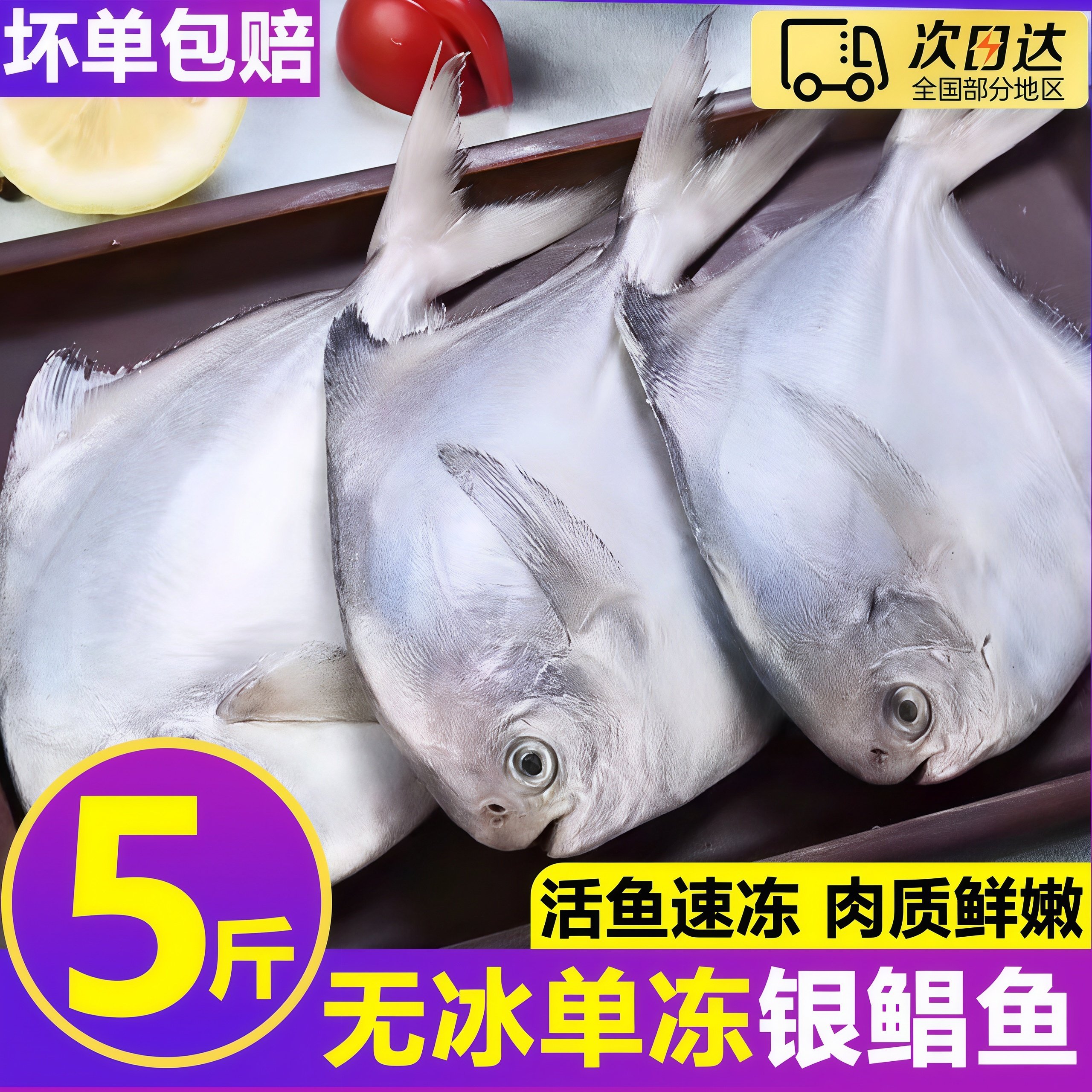 海捕新鲜冷冻银鲳鱼顺丰