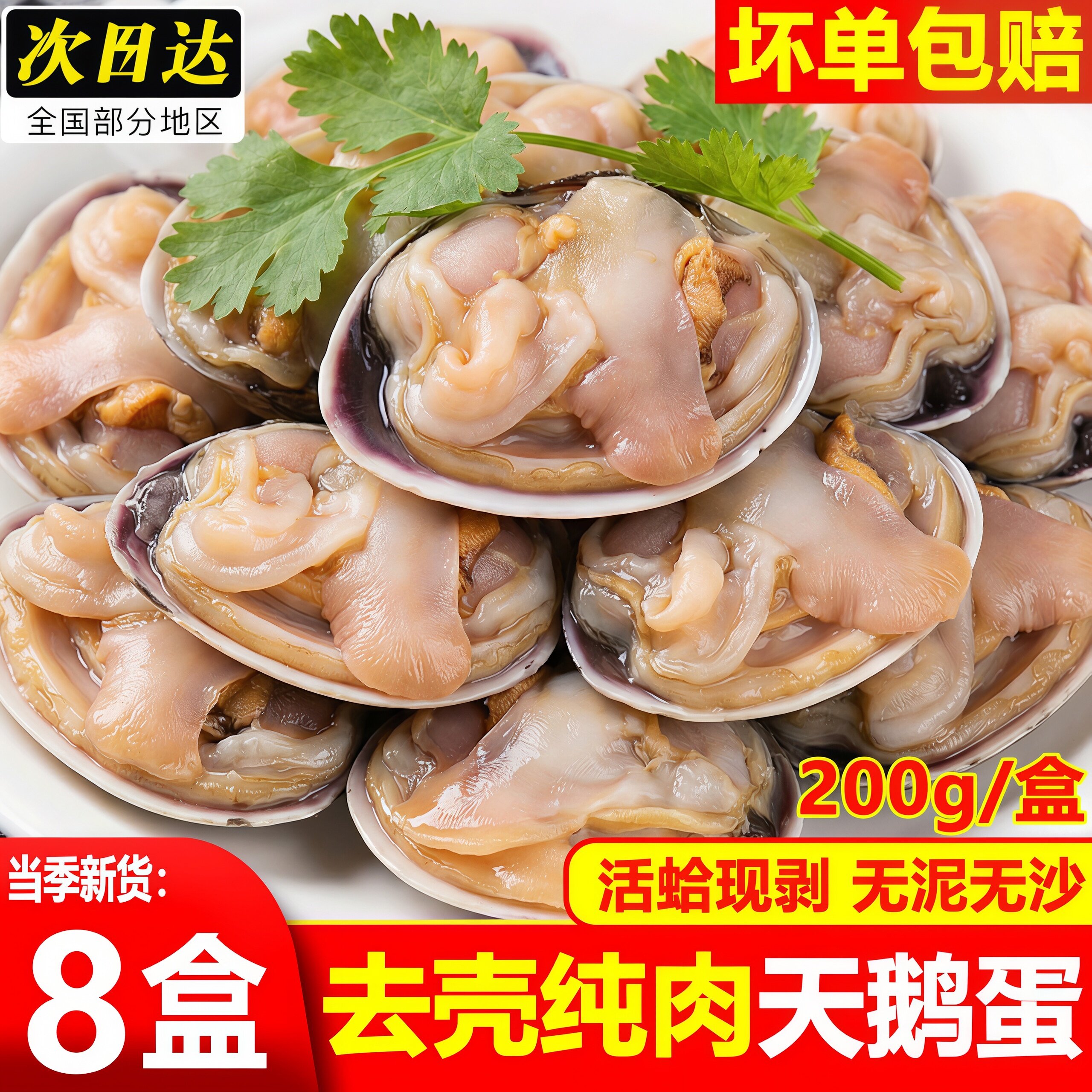 天鹅蛋肉速冻大蛤肉新鲜纯肉烧烤火锅当天去壳现剥原浆商用顺丰
