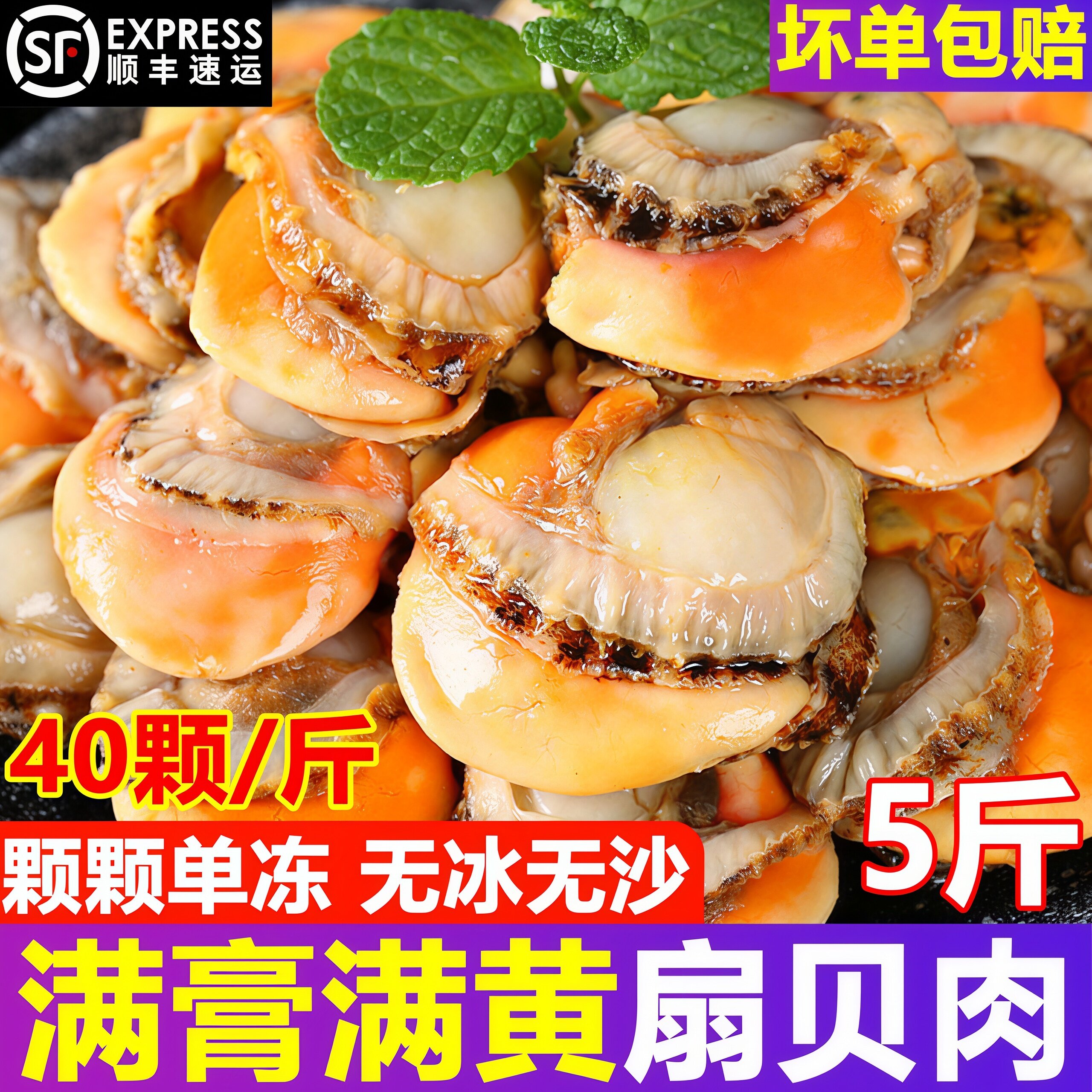 威海新鲜冷冻带黄大号扇贝肉顺丰