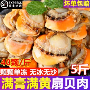 扇贝肉新鲜冷冻带黄超级大号粉丝扇贝黄蚬子鲜活商用海鲜红贝顺丰