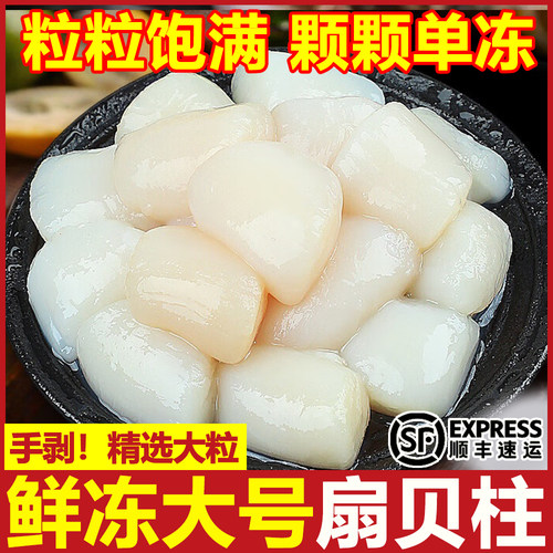 新鲜扇贝柱瑶柱鲜活现剥冷冻