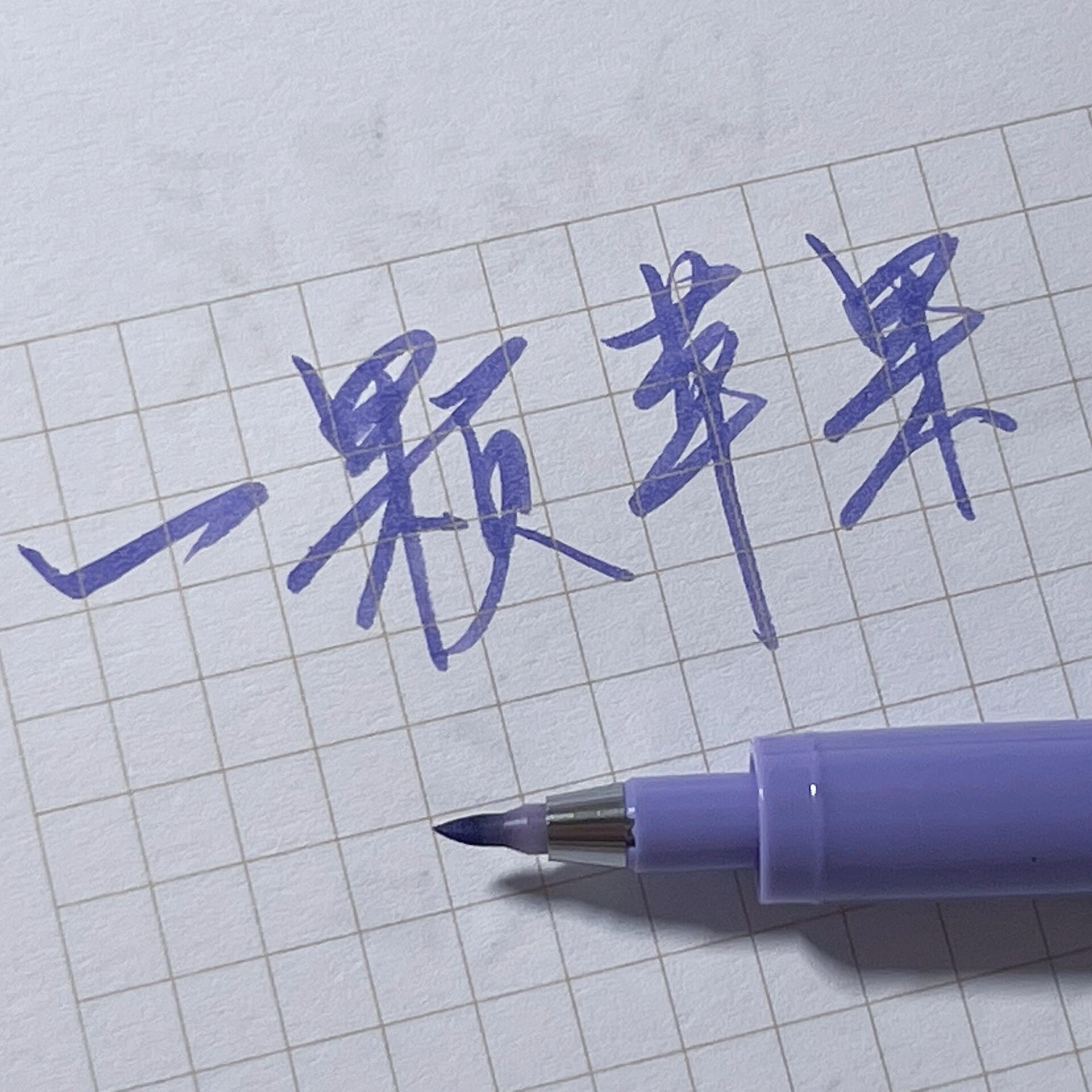 zebra斑马秀丽笔brush彩色写贺卡