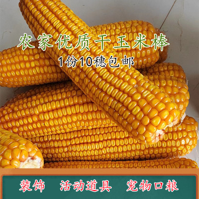 农作物装饰挂件玉米串手工磨牙棒