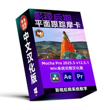 Win系统汉化AE/PR/达芬奇摩卡跟踪插件Mocha Pro 2025.5 v12.5.1