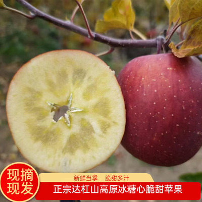 正宗康定达杠糖心丑苹果现摘水果