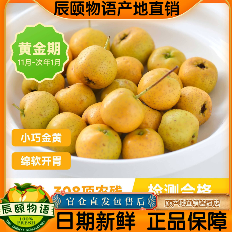 山楂辰颐物语泰安黄甜楂