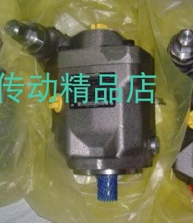 德国力士乐柱塞泵 A10VS028DFRI/31R-PPA12N00  Rexroth力士乐