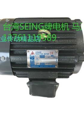 AEVF  2P 132S  10HP    7.5HP   台湾SEING电机  SEING马达