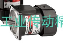 LY马达 5IK90GU YMF LMS 51K90GU LUSON电机