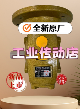 WPWDKS135 1:40  SAILI SPEED REDUCER减速机SL减速机SAILI减速器