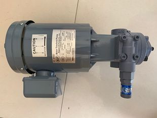 NOP电机 TOP 齿轮泵 208HBMVB 日本电产芝浦浙江Nidec马达 2MY400