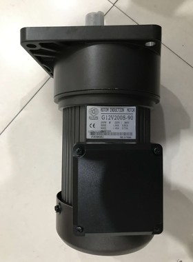 ROTOM马达  排屑电机  G13V400S-100  G12H400S-M20 G12V100S-100