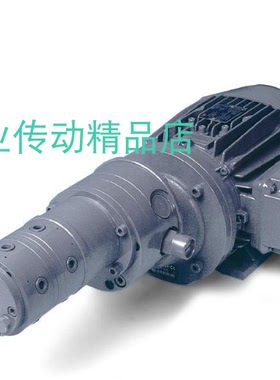 SKF多头泵电机ZM2202+100 ZM2202+1GD MFE5-BW3-2+299M5-2000+100