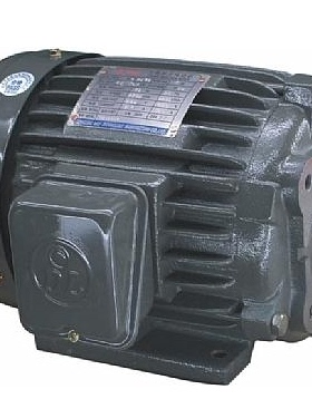 DL减速马达 DONGLING电机  DOLIN电机 DOLIN马达 AEEF-5HP-3.7KW