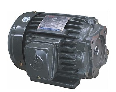 DL减速马达 DONGLING电机  DOLIN电机 DOLIN马达 AEEF-5HP-3.7KW