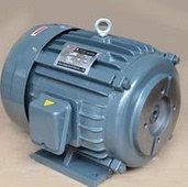 YT2-100L-6   2HP 1.5KW YT2100L-2   FUAN SANYE ELECTRIC 电机