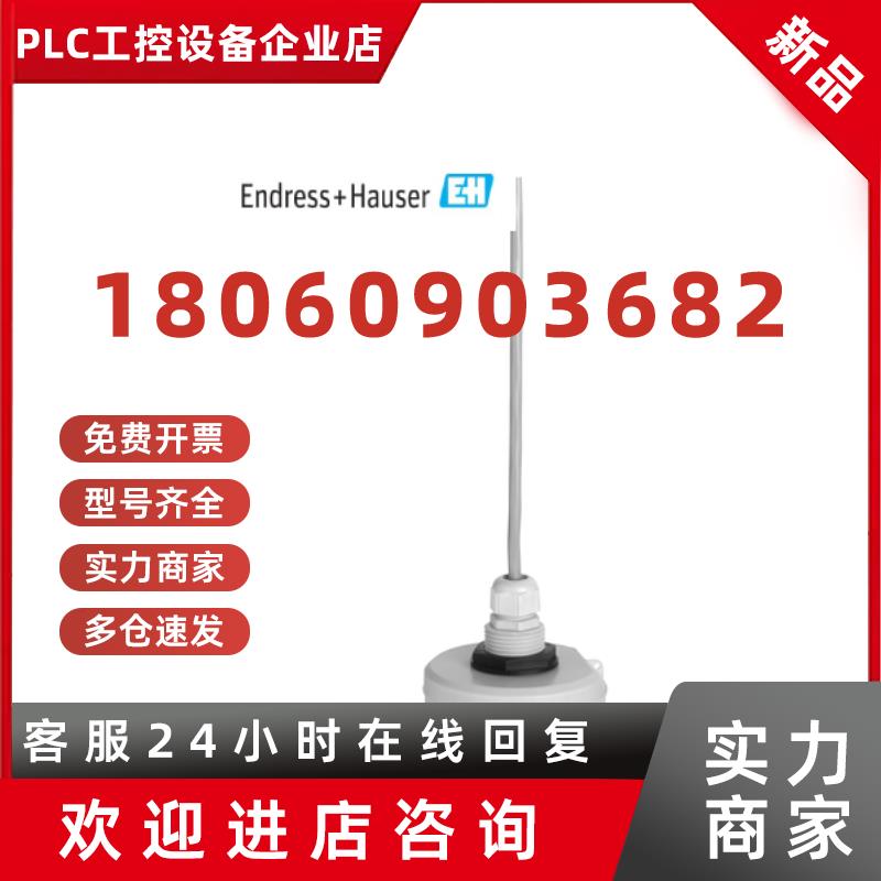议价现货 E+H 超声波传感器 FDU91-RG2AA超声波物位探头 拍前咨询