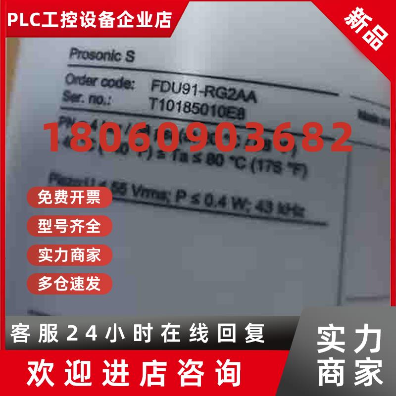 议价现货E+H分体式液位探头FDU91-RG2AA液位传感器FDU91-RG2AA议