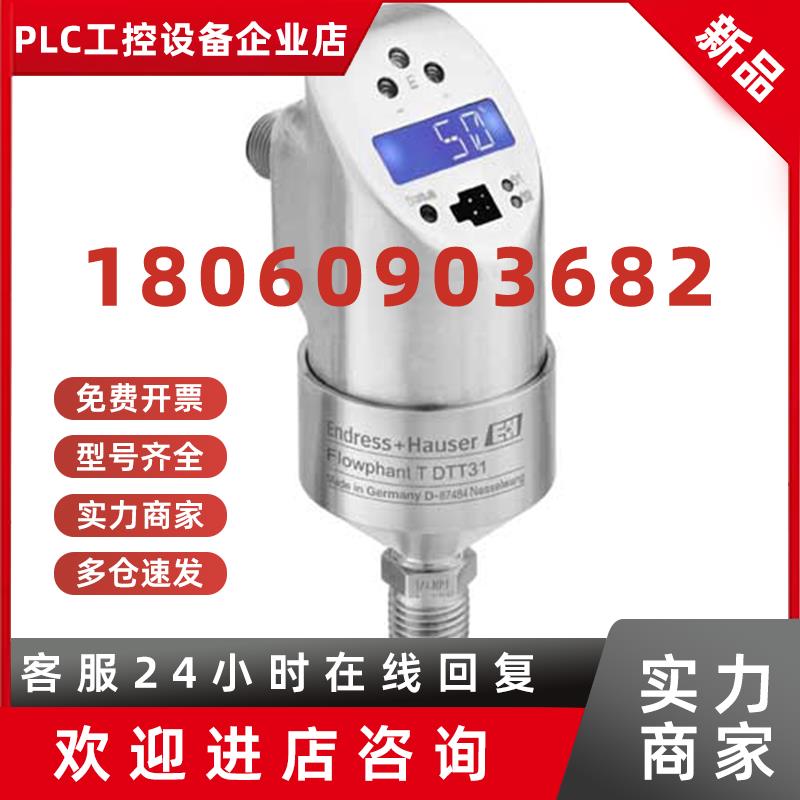 议价E+H流量开关DTT31-A2A111AE2AAB
