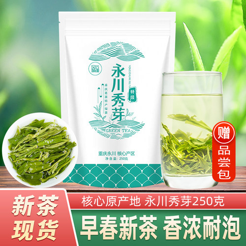 永川秀芽浓香早春茶毛峰茶