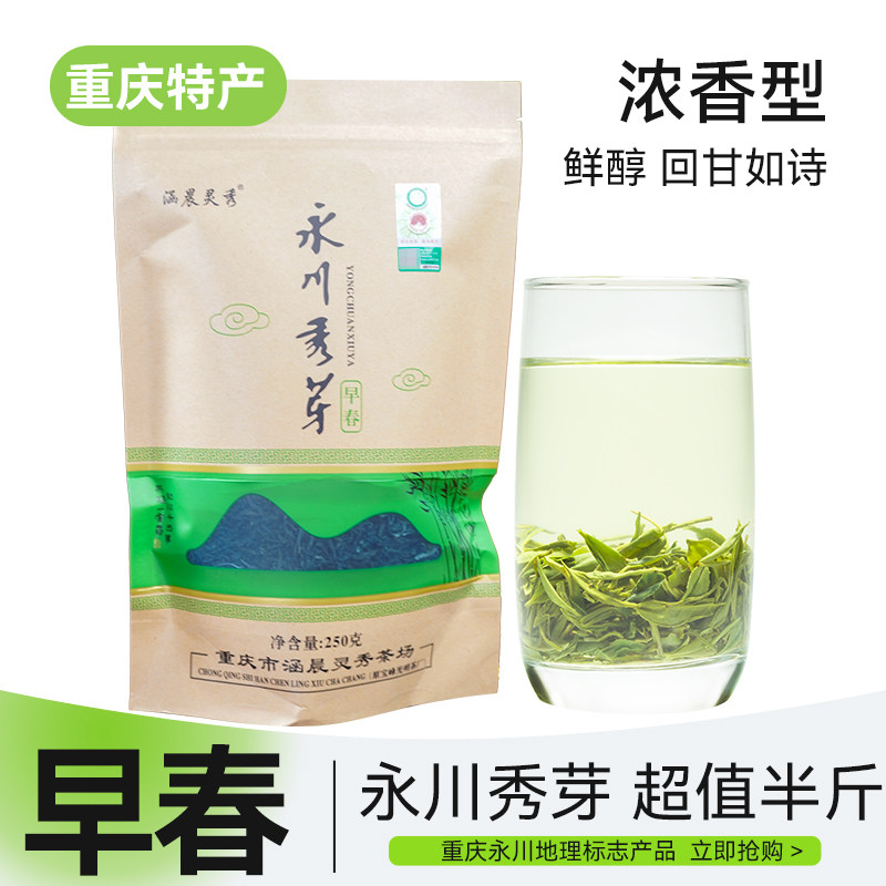 特级绿茶涵晨灵秀永川秀芽